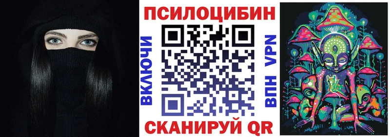 Галлюциногенные грибы Psilocybine cubensis цены Светлоград