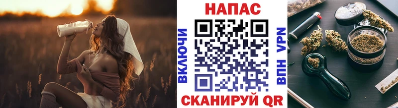 Шишки марихуана сатива  как найти закладки  Светлоград 