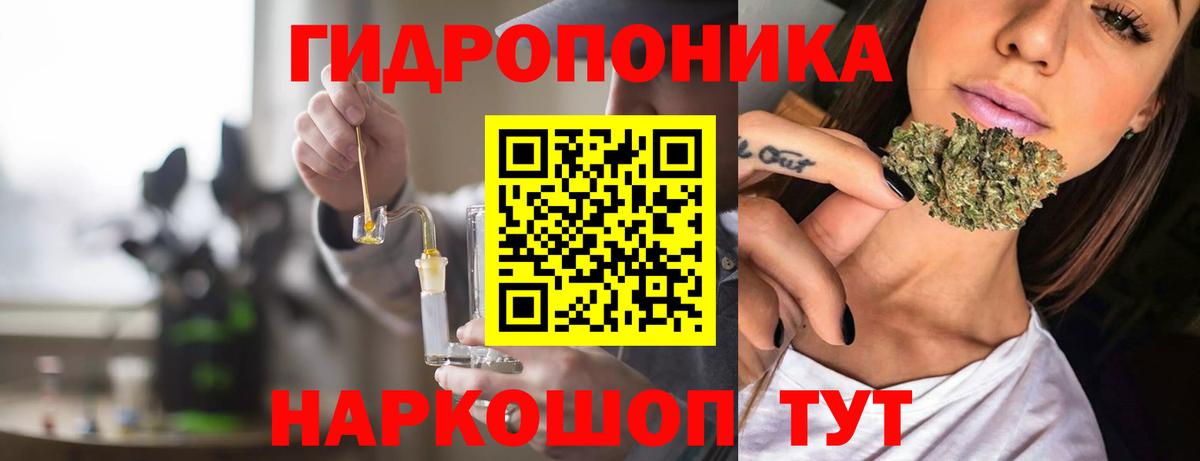 Светлоград  Конопля семена  Бошки Шишки Bruce Banner  Канабис сатива  Вход с VPN 